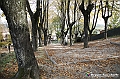 VBS_6048 - Castagnole delle Lanze